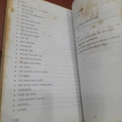 Chữa bệnh bằng cây thuốc Nam 800819