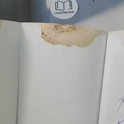 NYM Tôi của tương lai - Nguyễn Phi Vân 688506