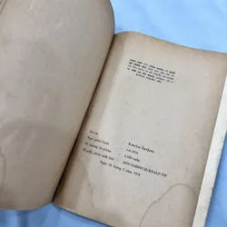 Chơi chữ - Lãng Nhân 589170