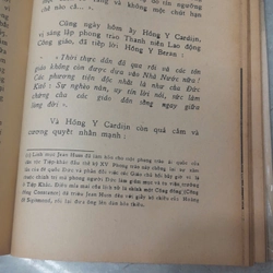 ĐƯỜNG HAY PHÁO ĐÀI? - Nguyễn Ngọc Lan 274186