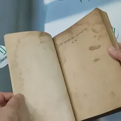 [MIỄN PHÍ BỌC SÁCH] [XƯA] Tiểu Thuyết Việt Nam Hiện Đại 2 (1978) - Phan Cự Đệ 776017