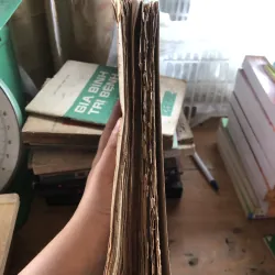 Yoga của Trần Văn Kha 1024366