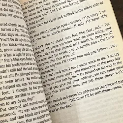 The Black Stallion 972887