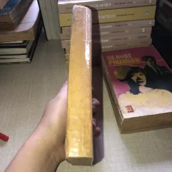 Bà BôVARY - Guyxtavo flobe 937472