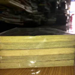 Thiên địa nam nhi - Tang Ai - Rex Sun 783793