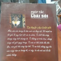 Phép tắc của LOÀI SÓI 737398