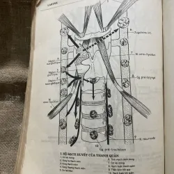 Tập tranh giải phẫu tai mũi họng -GS NGUYỄN ĐÌNH BẢNG BIÊN SOẠN-210 trang khổ lớn  799809