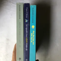 Sách của tác giả Flannery O'Connor: Mọi Thứ Lên Cao Đều Hội Tụ & Khó mà tìm được, Thiên di 987990