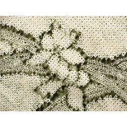 羽織／コート ２点セット - Hàng hiệu Authentic 875831