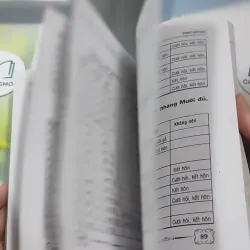 Phong Tục Dựng Vợ Gả Chồng - Như Hùng 727386