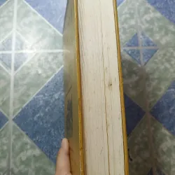 Việt Nam Phật giáo sử luận - Nguyễn Lang 974915