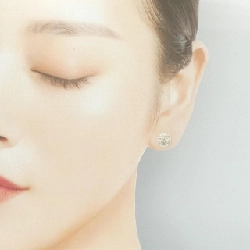 Khuyên tai Hermès Ex Libris PM - Hàng hiệu Chính hãng 843889