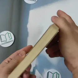 Trên lưng ngựa - Minh Khoa 798383