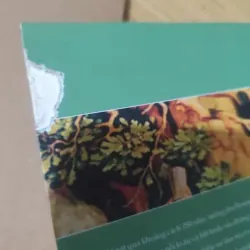 Emile Hay Là Về Giáo Dục - Jean Jacques Rousseau, mới 60% (CHS) 559559