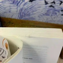 Toán Học Một Thiên Tiểu Thuyết - Mickael Launay 926325