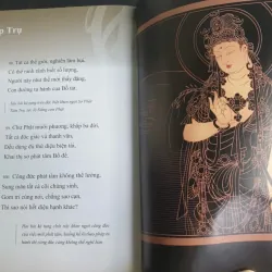 Kinh Hoa Nghiêm Phẩm Thập Trụ - Chính Văn và Lược Giải - Thầy Hằng Trường mới 90% 698198