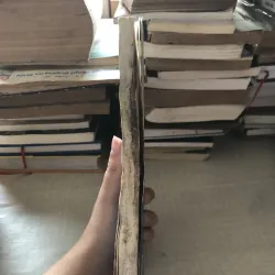 Đức cha Đôminico Ngãi-Giám mục Sài Gòn đầu tiên 976033