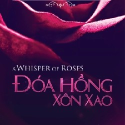 Đoá hồng xôn xao  4269