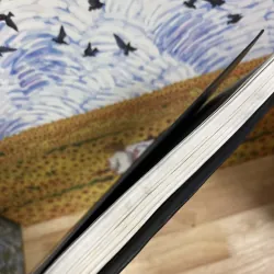 Bên Bờ Sông Piedra Tôi Ngồi Khóc - Paulo Coelho 1010685