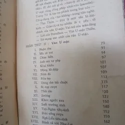 CÁI CƯỜI CỦA THÁNH NHÂN - NGUYỄN DUY CẦN  936513