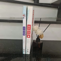 Sách Gặp Gỡ Vương Lịch Xuyên Trọn Bộ 493566
