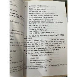 Nghệ thuật chơi chữ trong văn chương người Việt - Triều Nguyên 752037