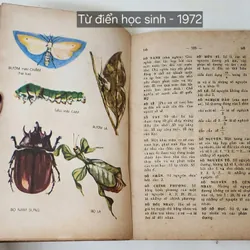 TỪ ĐIỂN HỌC SINH 1972 - tranh in màu 702742