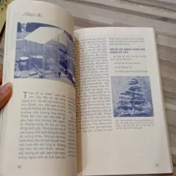 Bonsai cho mọi nhà 971323