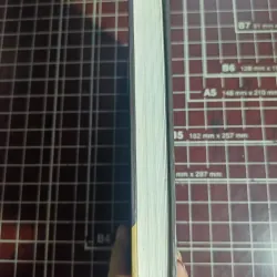 Phùng Quán còn đây... - Vũ Bội Châu & Ngô MInh 754676