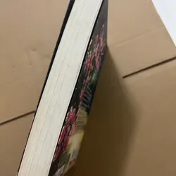 Tường vi đêm đầu tiên 562979