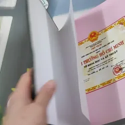 [MIỄN PHÍ BỌC SÁCH] Những Cây Thuốc Và Vị Thuốc Việt Nam - GS. TS Đỗ Tất Lợi 990368