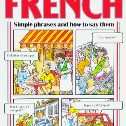 Usborne Guide to French