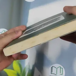 Mùa Hè Năm Ấy - Đặng Huỳnh Mai Anh 798427