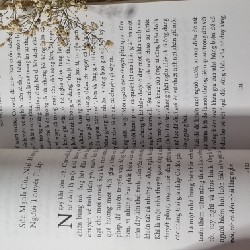 Những cánh đồng kim cương 214