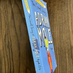 ✨𝑻𝒉𝒆 𝑺𝒆𝒄𝒓𝒆𝒕 𝑫𝒊𝒂𝒓𝒚 𝒐𝒇 𝑨𝒅𝒓𝒊𝒂𝒏 𝑴𝒐𝒍𝒆, 𝑨𝒈𝒆𝒅 13 3/4✨ 713666