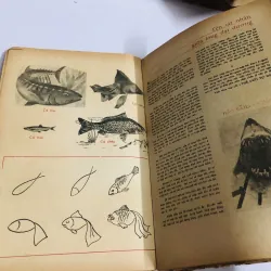 VẠN VẬT HỌC BAN GIÁO SƯ ALPHA - lớp 6 752713