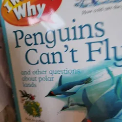 Combo 10 quyển I wonder why 733565