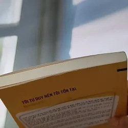 Tư Duy Ngược 607715