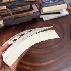 II Tiểu Thuyết: ALEX - Pierre Lemaitre - Cao Việt Dũng (Dịch) - 2015 1039593
