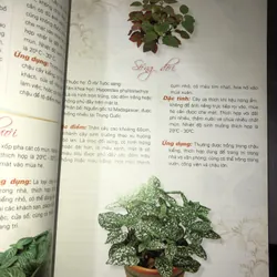 365 loài hoa cảnh  732810