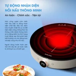 Bếp từ đơn Kalite Power S8 795698