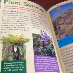 PICTURE BOOK Welcome to planet earth 536967