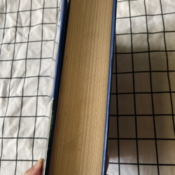 Áo trắng rừng xanh  548305