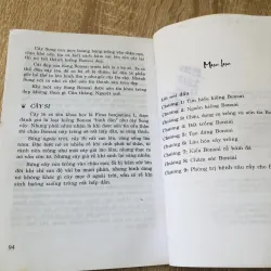 110 CÂU HỎI ĐÁP CHĂM SÓC VÀ TẠO DÁNG BONSAI 1007318