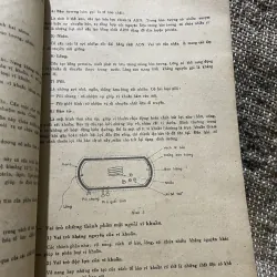 Vì khuẩn học - sách y khổ lớn, 150 trang  1009199