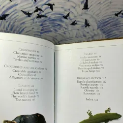 Pockets: Reptiles 1022230