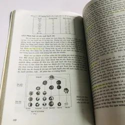 SINH LÝ VẬT NUÔI 600126