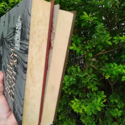 Đôi cánh + Kinh nghiệm tình ái combo 1002602