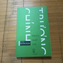 Dưới Mắt Tôi- Trương Chính