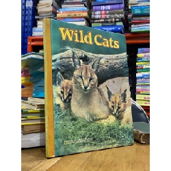 Wild Cats